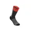 2020 Alpinestars Drop 19cm Socks in Red