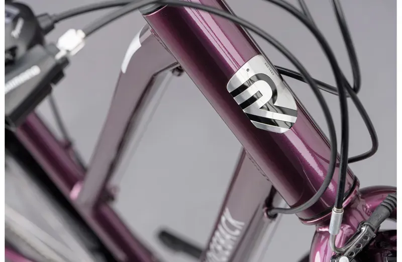 RIDGEBACK SPEED OPEN FRAME SMALL PLUM-4