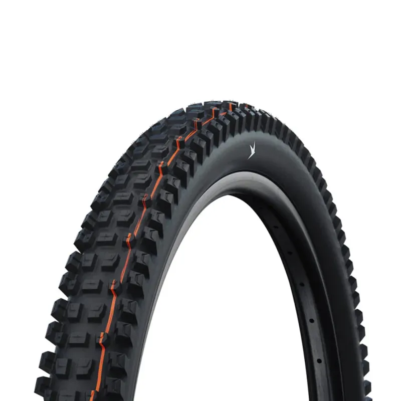 SCHWALBE ALBERT GRAVITY PRO 29X2.6 TYRE