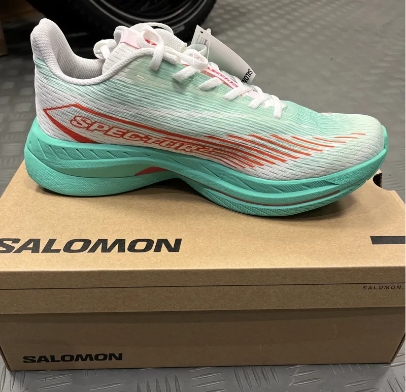 Salomon-Lampeter-Wales